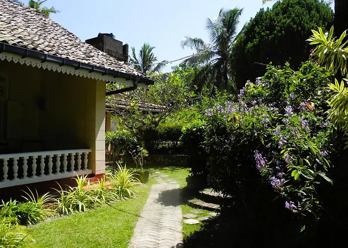 Top Of The Hill Guesthouse & Villas