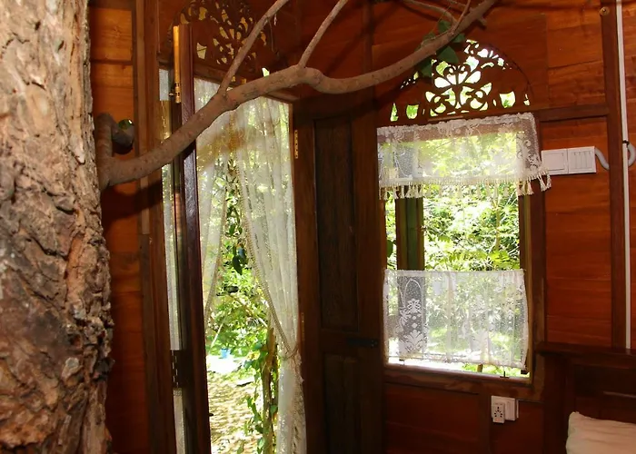Tree House-Midigama